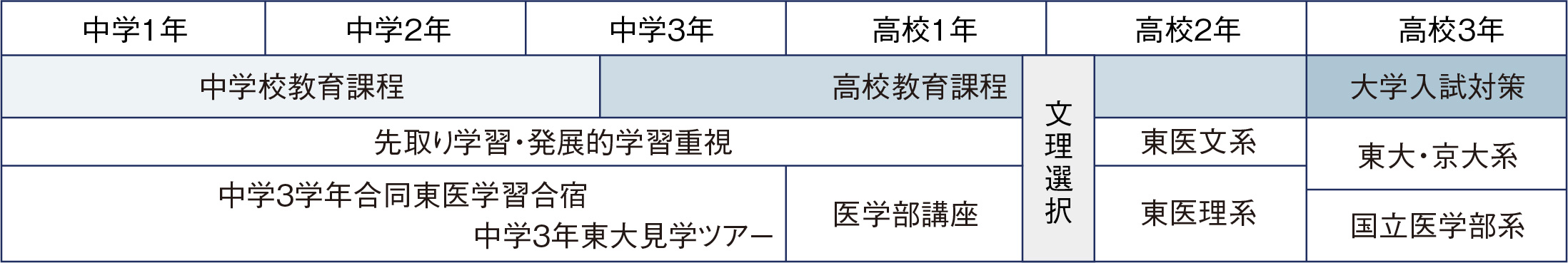 東大・国立医学部コース カリキュラム表